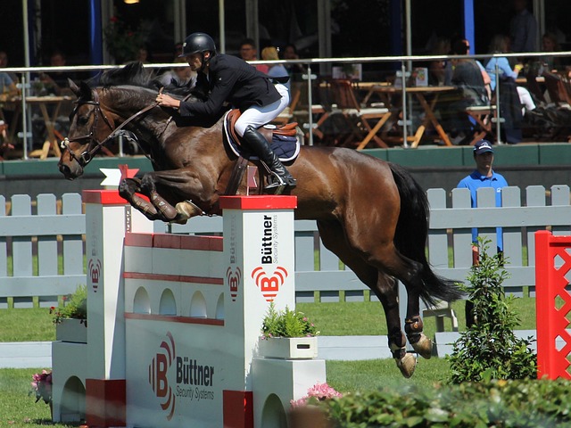 可预测性 可预测性