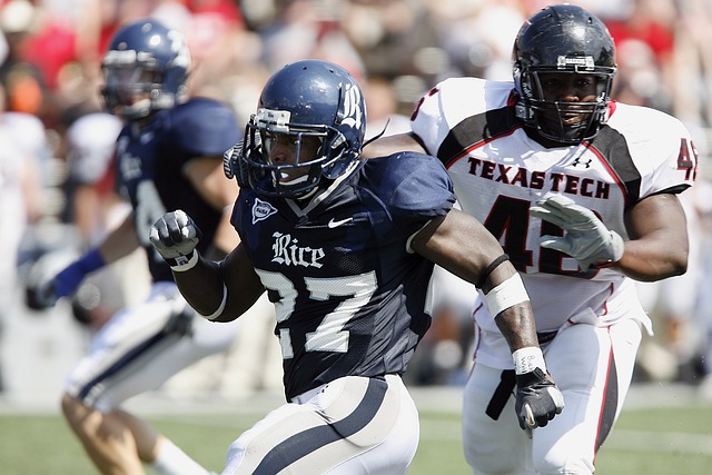 参考标准 参考标准