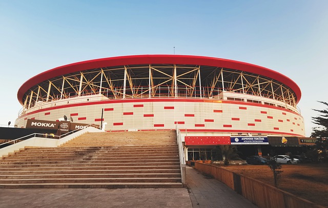 部分专家指 部分专家指