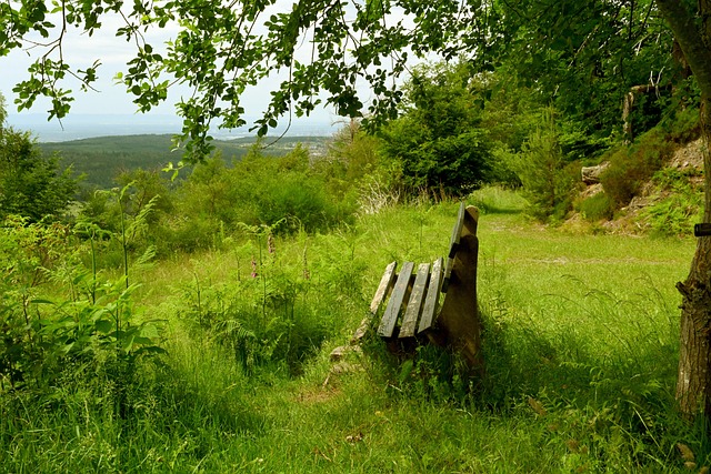 勇士队以辉 勇士队以辉