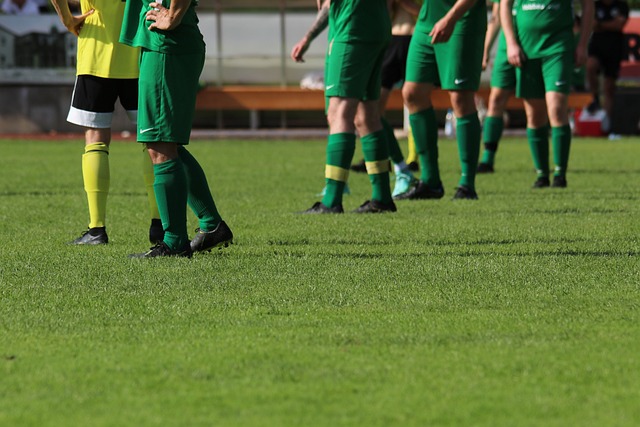 尽管比利亚 尽管比利亚