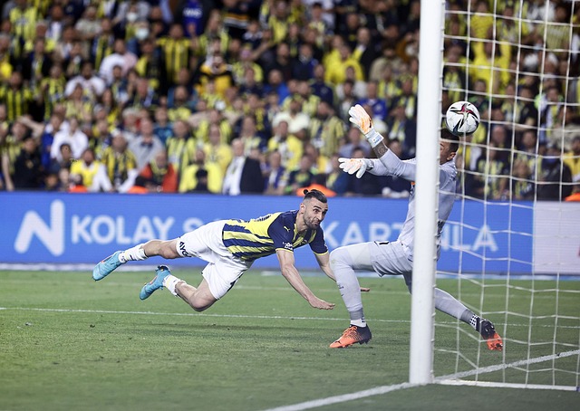 同时也反映 同时也反映