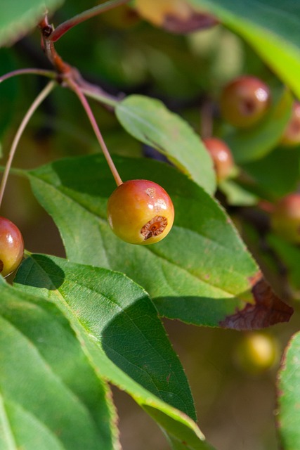 大相径庭 大相径庭