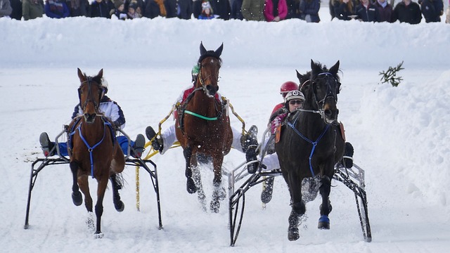 保护的关注 保护的关注