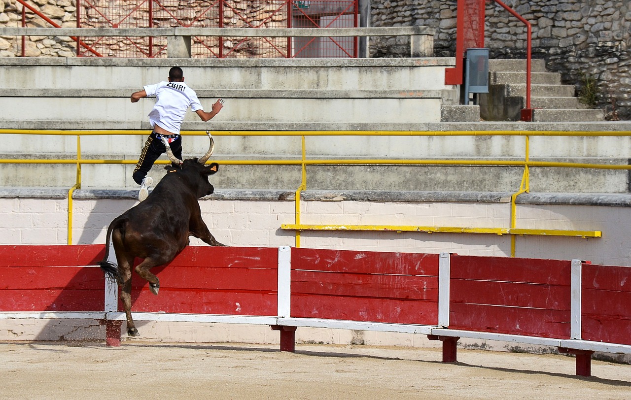 甲比赛中